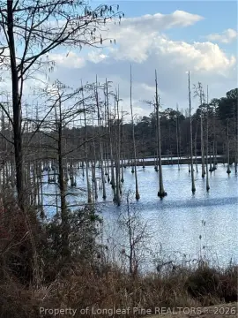 Lakefront Lot Ready For Building