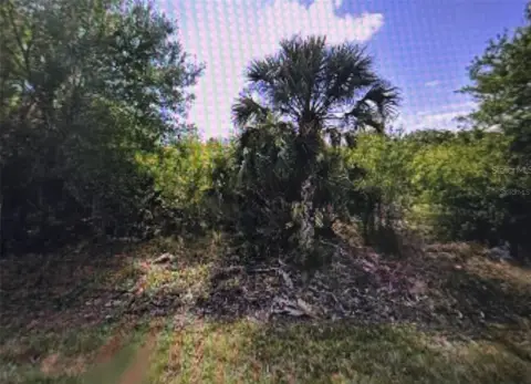 Residential Land in Punta Gorda