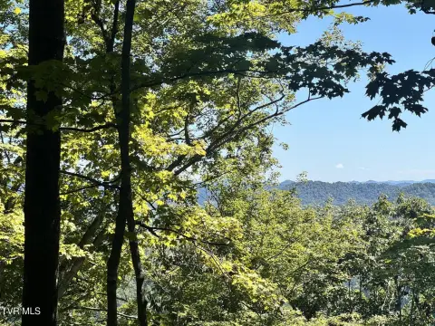 Unrestricted Acreage in East Tennessee
