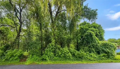 Residential Lot in Inverness Highlands