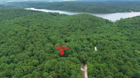Secluded Wooded Land with Cabin
