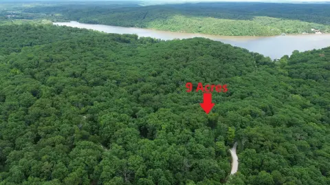 Wooded Hunting Land with Road Access