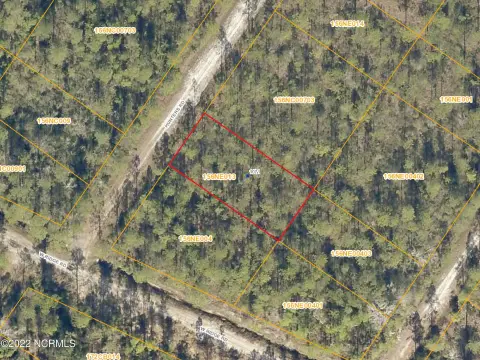 Wooded Lot in Boiling Spring Lakes