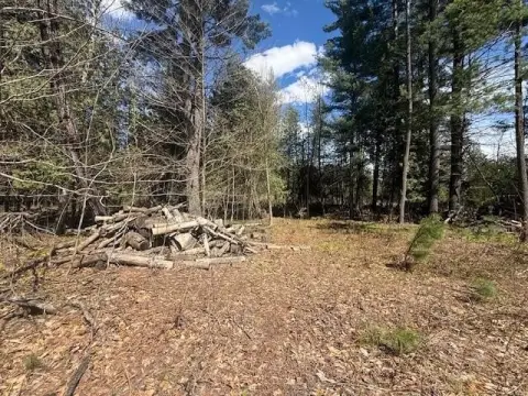 Leroy, MI Hunting Land