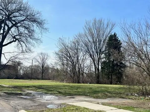 Detroit Land Development Opportunity