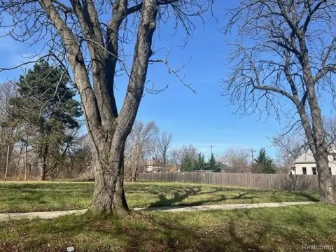 Detroit Land Development Opportunity