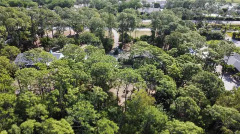 Acreage Lot in San Carlos Estates