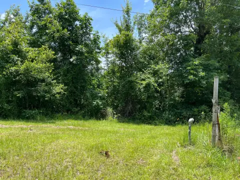 Quinton, AL Wooded Land Parcel