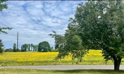 Unrestricted Land Near Jasper, AL