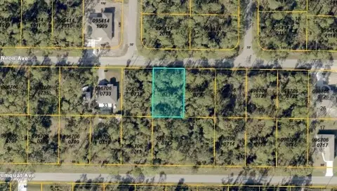 Vacant Lot in North Port