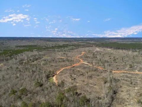 Ward, AL Land Investment