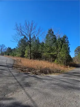 Land For Sale, Woodstock, AL