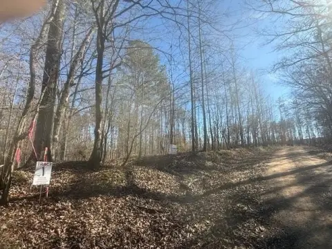Land Tract with Trees and Open Area