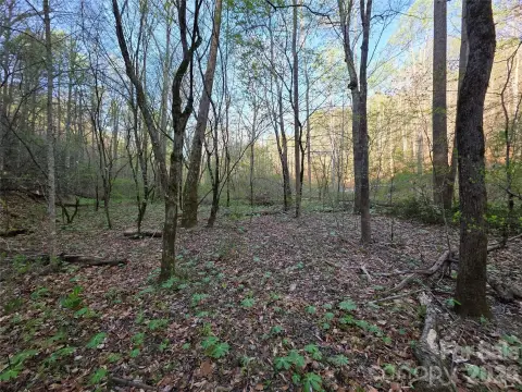 Unrestricted Land Near Lake James