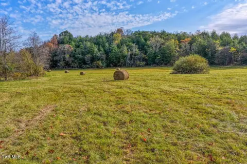 Unrestricted Land with Creek Frontage