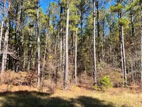 Lincolnton Land Near Clarks Hill
