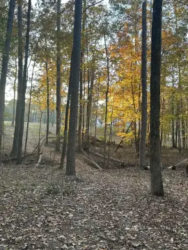 Hardwood Tract for Mini Farm