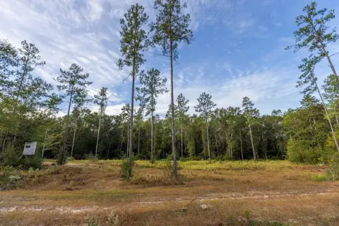 Bay Minette Homesite with Creek Frontage