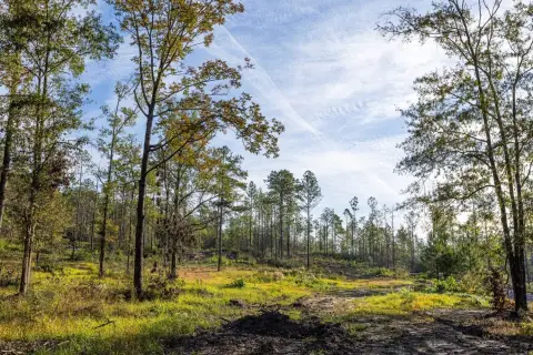 Vacant Land in Whitehouse Forks