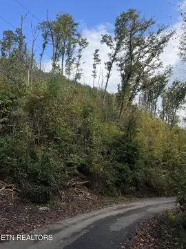 Land Near Downtown Gatlinburg