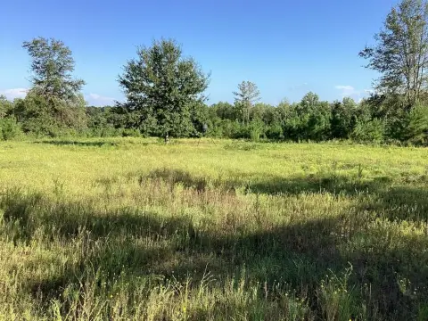 Secluded Land with Road Frontage