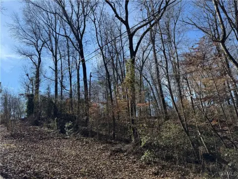 Residential Lot in Tuscaloosa, AL