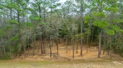 Residential Lot on Highway 85