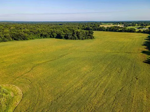 Agricultural Land with Road Frontage