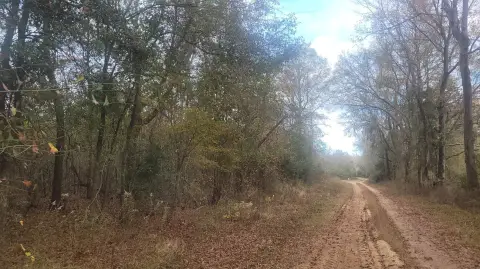 Timber and Hunting Land Tract