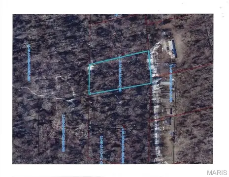 One Acre Wooded Residential Lot