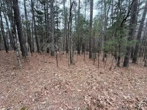 Land Near Lake Thurmond