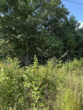 Unrestricted Acreage with Creek