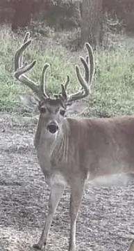Hunting Land Near US Hwy
