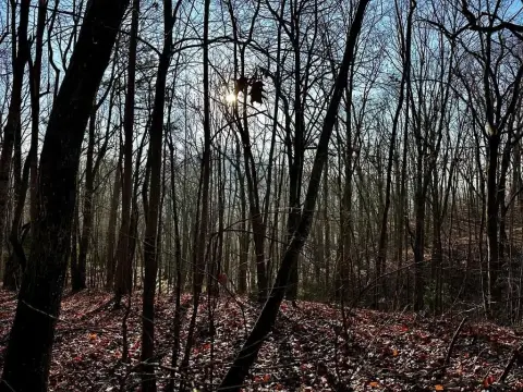 Wolf Mountain Estate Land Parcel