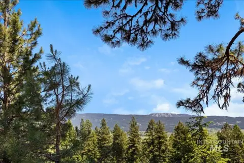 Land with Mountain and Timber Views