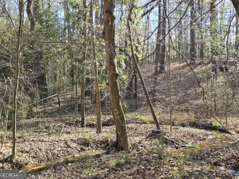 Hull, GA: 22.51 Acres Land