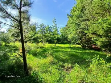 Unimproved Land in Pittsburg, TX