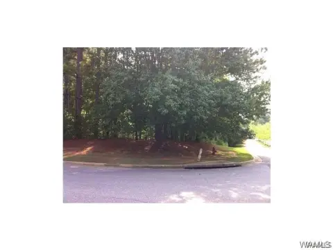 Corner Wooded Lot For Sale