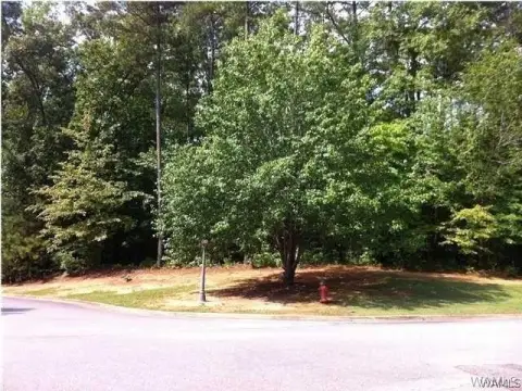 Wooded Lot in Crown Pointe