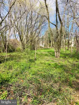 1.5 Acre Vacant Building Lot