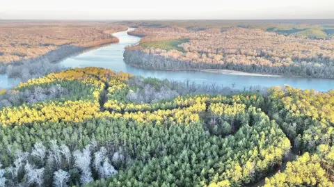 329 Acres Near Tombigbee River