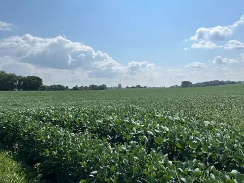 Cokato Land Development Opportunity