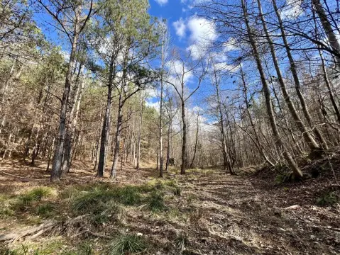 Vacant Land in Toxey, AL