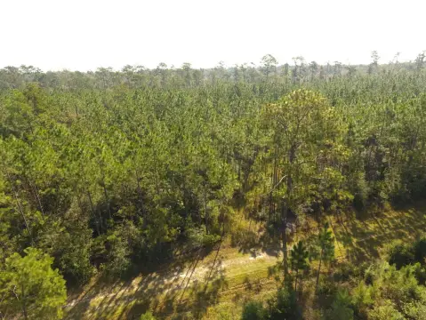 Ragley, LA Vacant Land