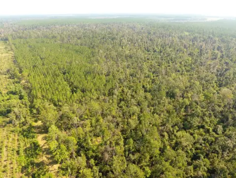 Timberland and Creekside Recreation Tract