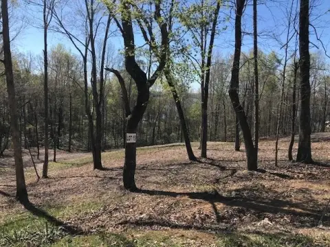 Cleared Level Home Lot