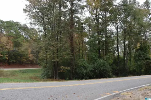 Residential Lot in Birmingham, AL