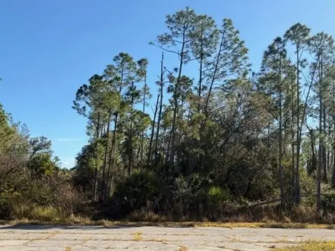 North Port Land For Development