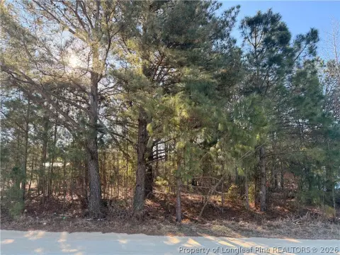 Vacant Land in Sampson County