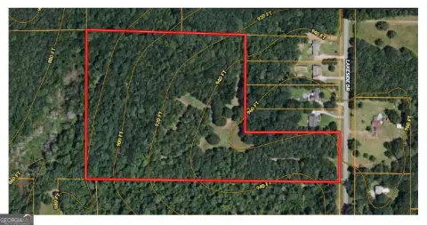 Williamson, GA 16.83-Acre Land